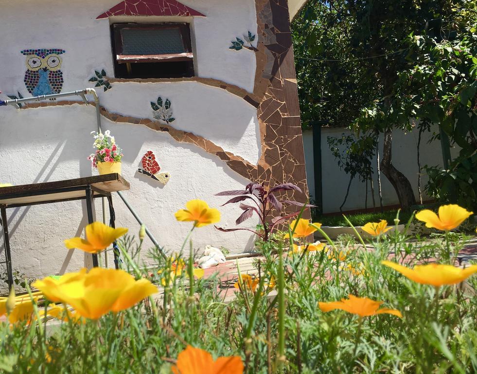 Pink Guest House Obzor Exterior photo